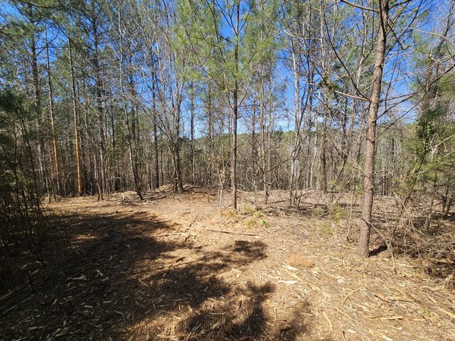 0 Bridge View Cv, Bath Springs, TN 38311