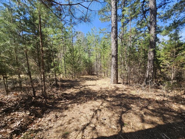 0 Bridge View Cv, Bath Springs, TN 38311