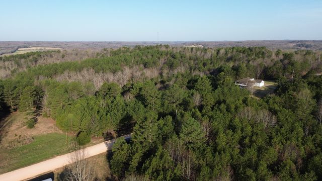 0 Bridge View Cv, Bath Springs, TN 38311