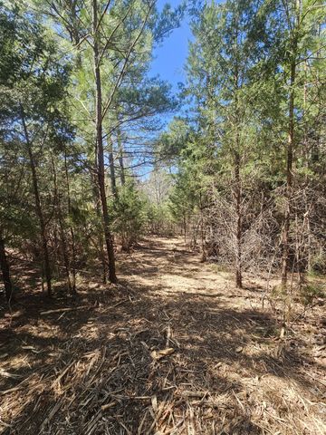 0 Bridge View Cv, Bath Springs, TN 38311