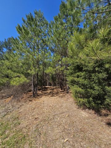 0 Bridge View Cv, Bath Springs, TN 38311