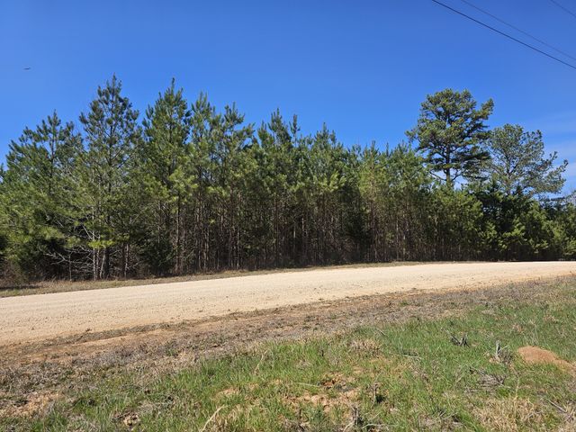 0 Bridge View Cv, Bath Springs, TN 38311