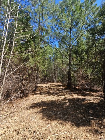 0 Bridge View Cv, Bath Springs, TN 38311