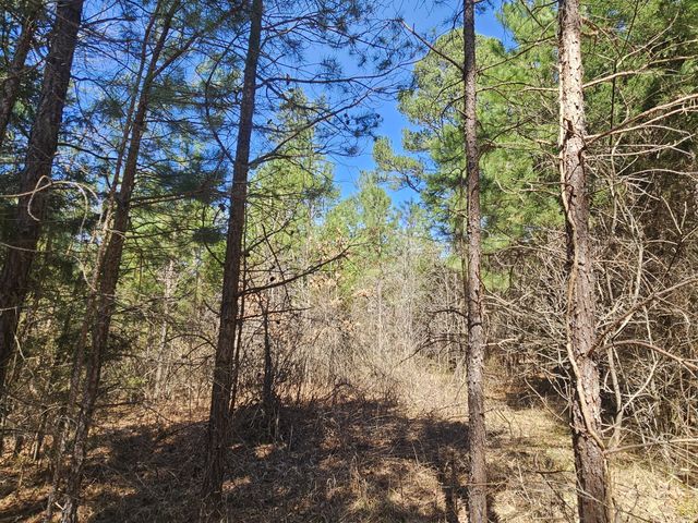 0 Bridge View Cv, Bath Springs, TN 38311