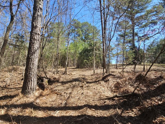 0 Bridge View Cv, Bath Springs, TN 38311