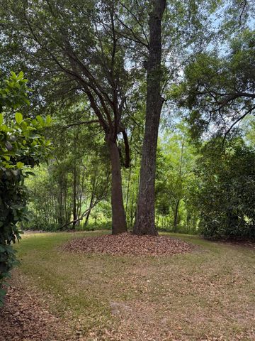 5217 Oak Cove Lane, Hollywood, SC 29449