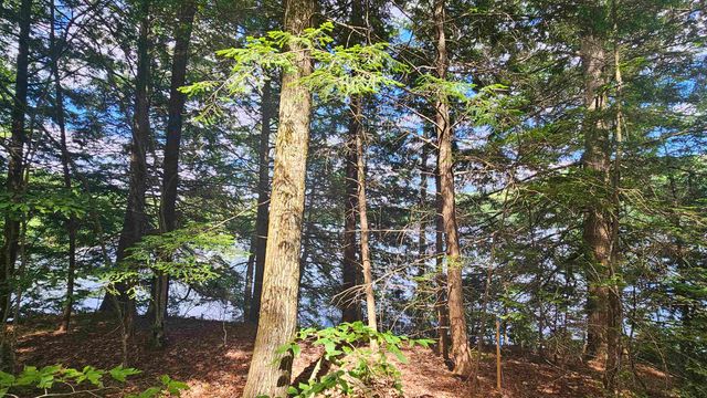 115-54 Tigola Trail, Stoddard, NH 03464