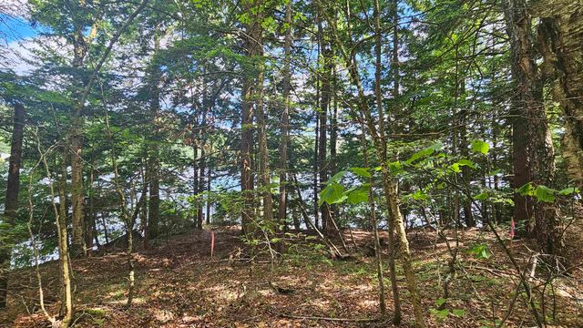 115-54 Tigola Trail, Stoddard, NH 03464