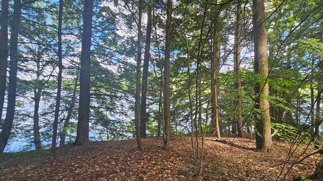 115-54 Tigola Trail, Stoddard, NH 03464