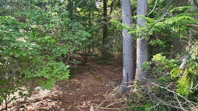 115-54 Tigola Trail, Stoddard, NH 03464