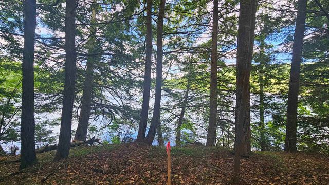 115-54 Tigola Trail, Stoddard, NH 03464