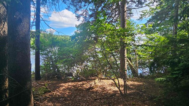 115-54 Tigola Trail, Stoddard, NH 03464
