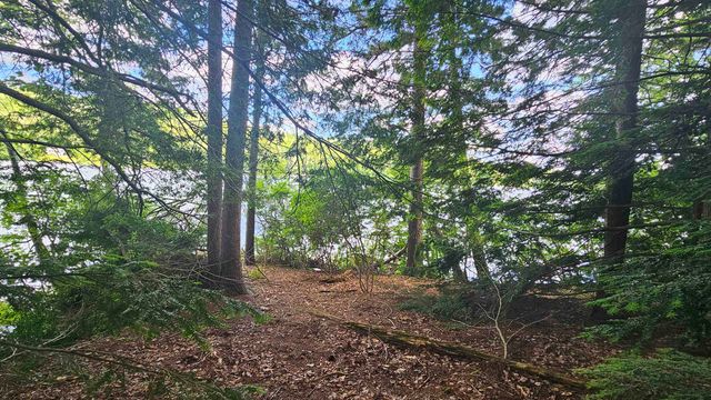 115-54 Tigola Trail, Stoddard, NH 03464