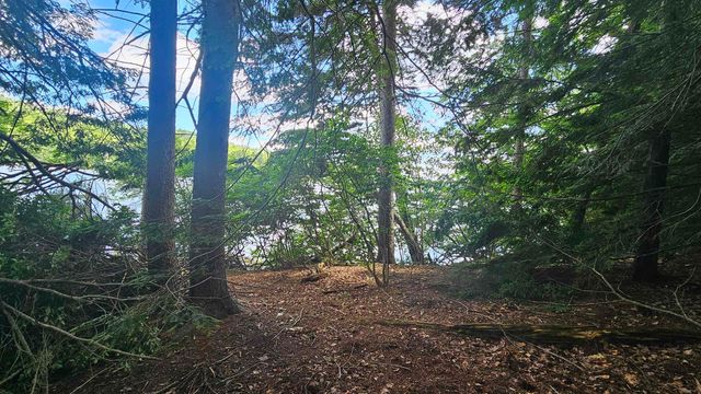 115-54 Tigola Trail, Stoddard, NH 03464