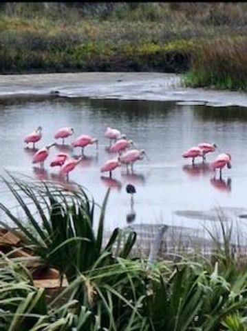 3611 Indian Beach Drive, Galveston, TX 77554