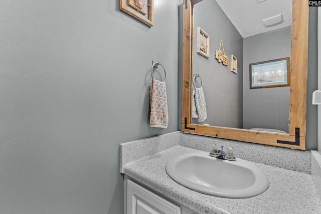 113 Opago Way, Lexington, SC 29073