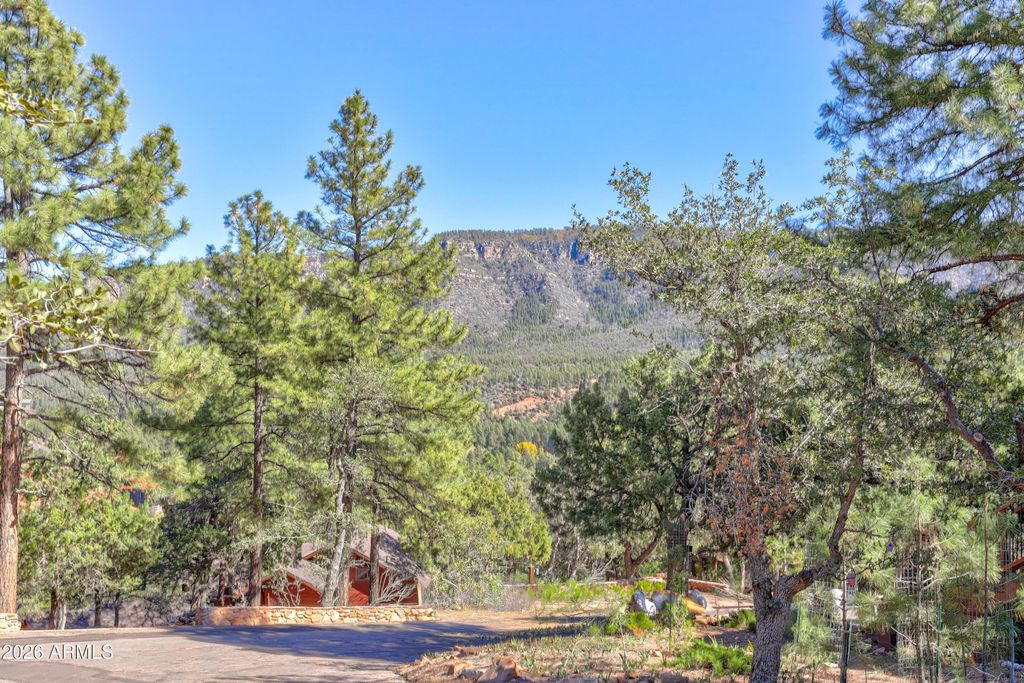 Image 7 of property listing at 6124 W SKYVIEW Circle 195, Pine, AZ 85544