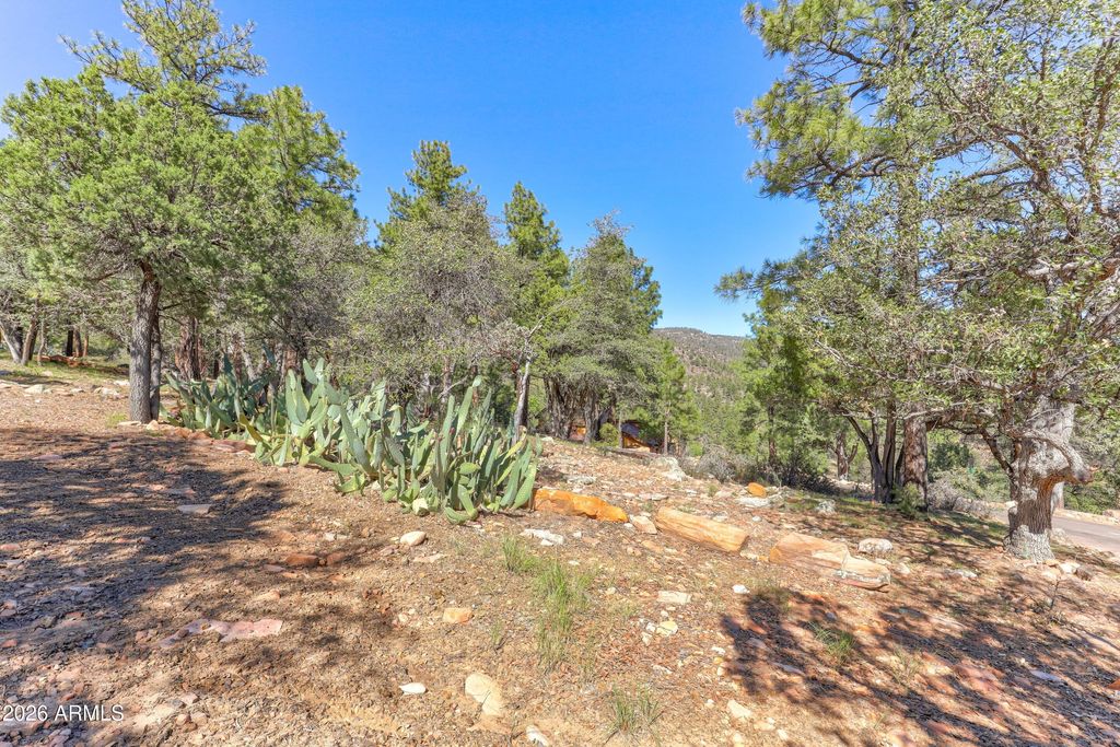 Image 8 of property listing at 6124 W SKYVIEW Circle 195, Pine, AZ 85544