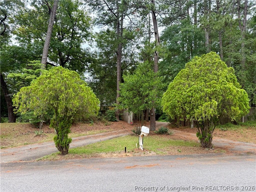 520 Southwick Drive, Fayetteville, NC 28303 — photo 3