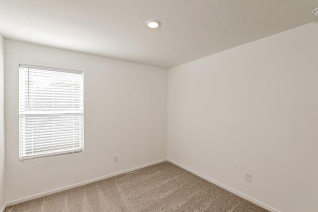 10818 Bird Of Paradise Lane, Houston, TX 77016