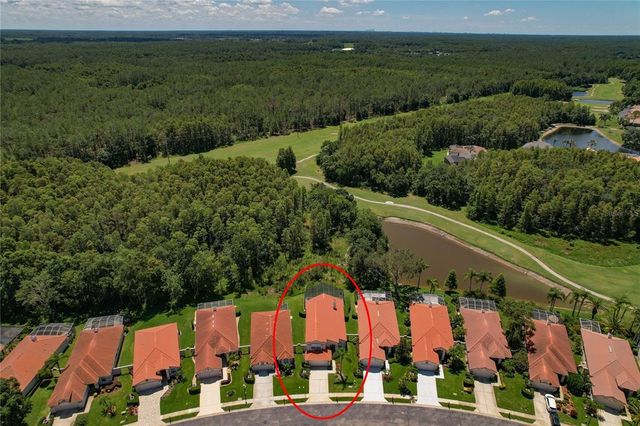 1115 DARTFORD DRIVE, Tarpon Springs, FL 34688