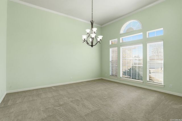 8814 Spanish Moss, Windcrest, TX 78239