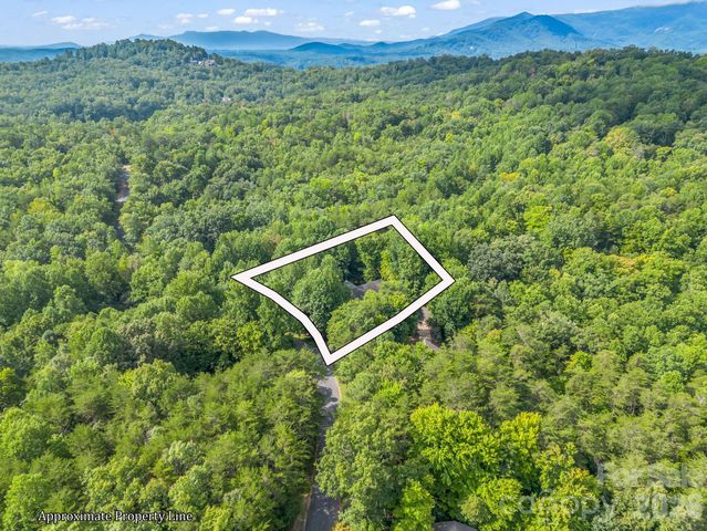 107 Wilkerson Court, Lake Lure, NC 28746