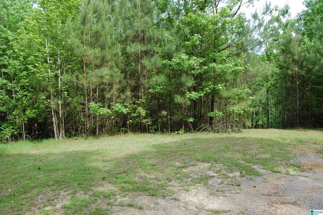 169 COUNTY ROAD 172 SW, Crane Hill, AL 35053
