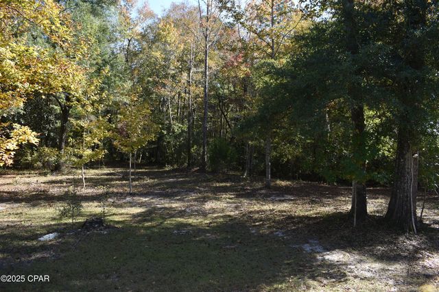 2461 Angelena Court, Chipley, FL 32428