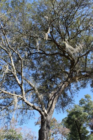 2461 Angelena Court, Chipley, FL 32428