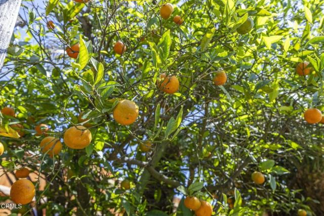 630 Redwood Avenue, Ventura, CA 93003