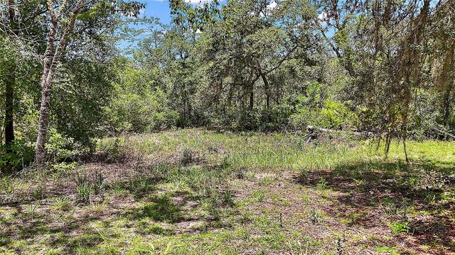 0 SE 197TH AVENUE, Ocklawaha, FL 32179