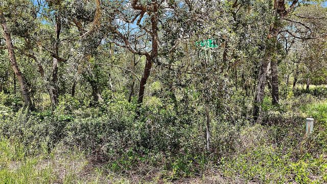0 SE 197TH AVENUE, Ocklawaha, FL 32179
