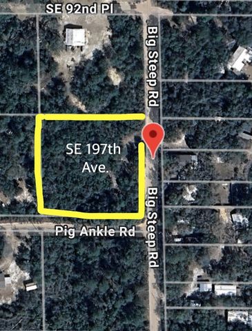 0 SE 197TH AVENUE, Ocklawaha, FL 32179