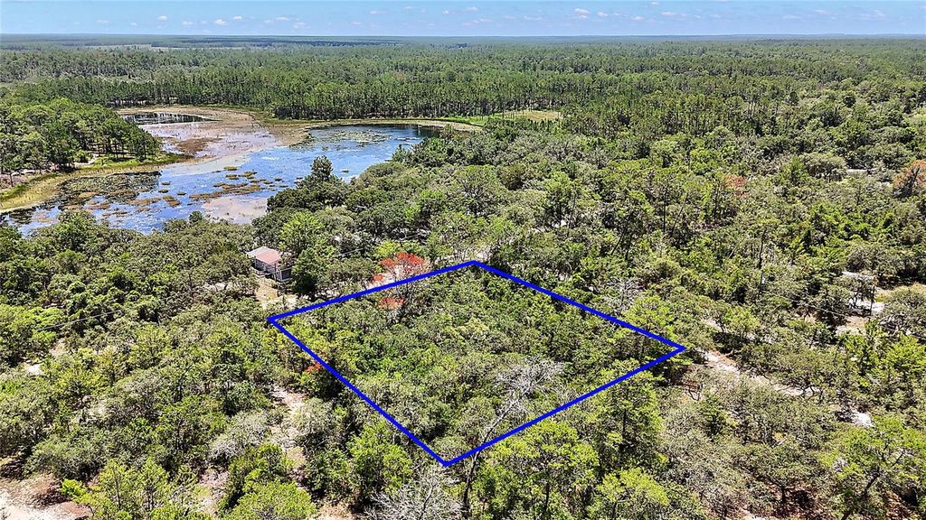 0 SE 197TH AVENUE, Ocklawaha, FL 32179