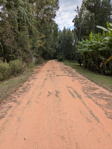 84 Oatis Camp Lane, Columbia, MS 39429