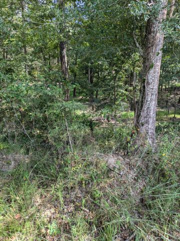 84 Oatis Camp Lane, Columbia, MS 39429