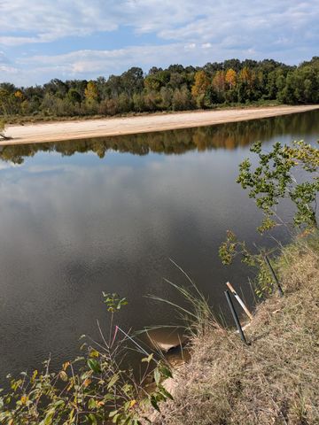 84 Oatis Camp Lane, Columbia, MS 39429