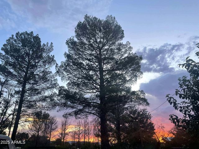 9097 N MONTIE Avenue, Mcneal, AZ 85617