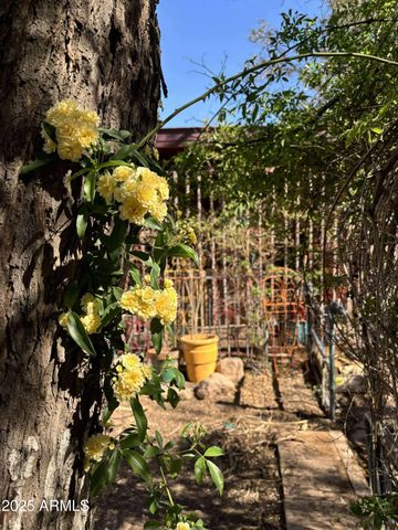 9097 N MONTIE Avenue, Mcneal, AZ 85617