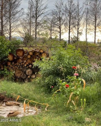 9097 N MONTIE Avenue, Mcneal, AZ 85617