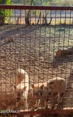 9097 N MONTIE Avenue, Mcneal, AZ 85617