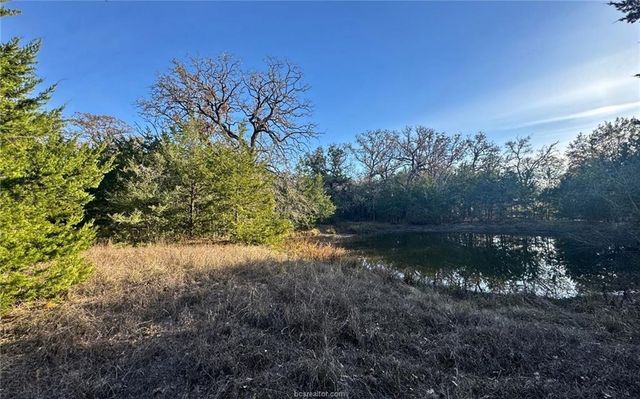 TBD County Road 132 -21 Acres, Somerville, TX 77879