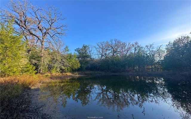 TBD County Road 132 -21 Acres, Somerville, TX 77879