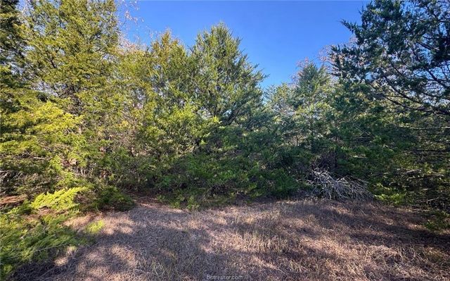 TBD County Road 132 -21 Acres, Somerville, TX 77879