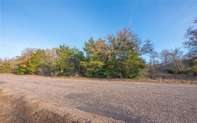 TBD County Road 132 -21 Acres, Somerville, TX 77879