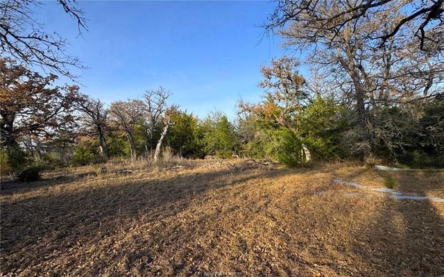 TBD County Road 132 -21 Acres, Somerville, TX 77879