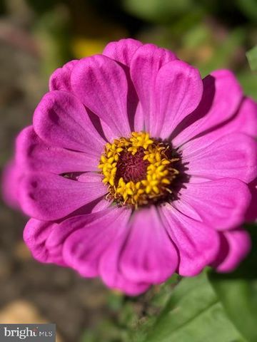 13519 ALLNUTT LN, Highland, MD 20777