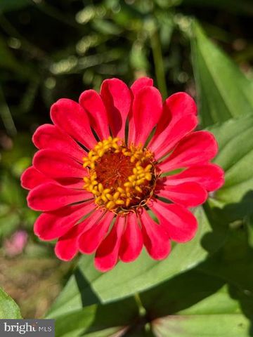 13519 ALLNUTT LN, Highland, MD 20777