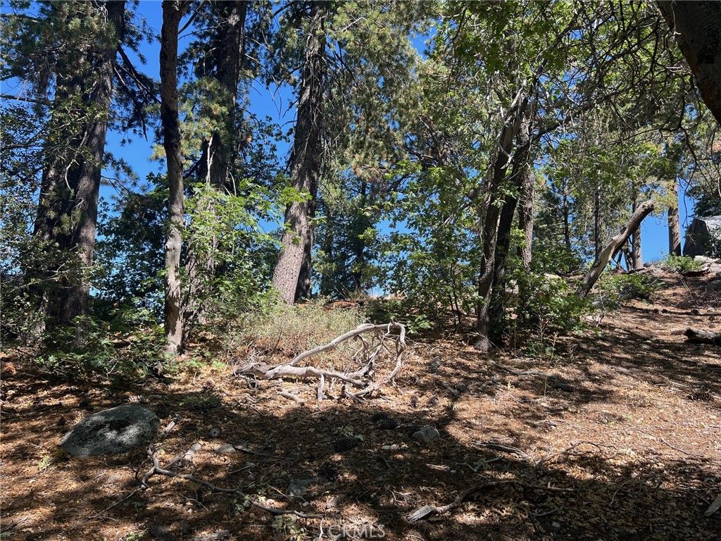 0 Tank Road, Arrowbear, CA 92308